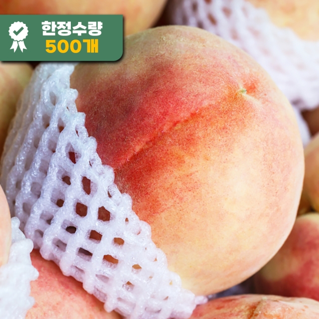 파격 특가 딱딱이 복숭아  2kg